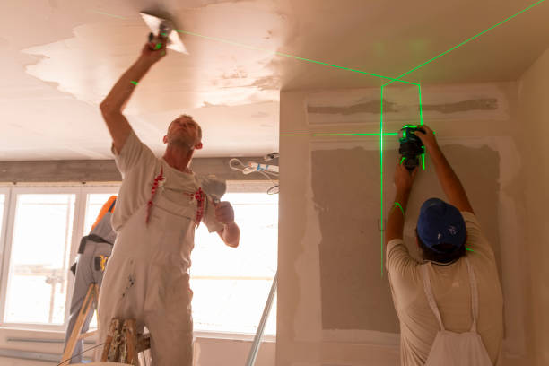 Best Fire-Damaged Drywall Repair  in USA